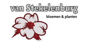Van Stekelenburg Bloemen en Planten