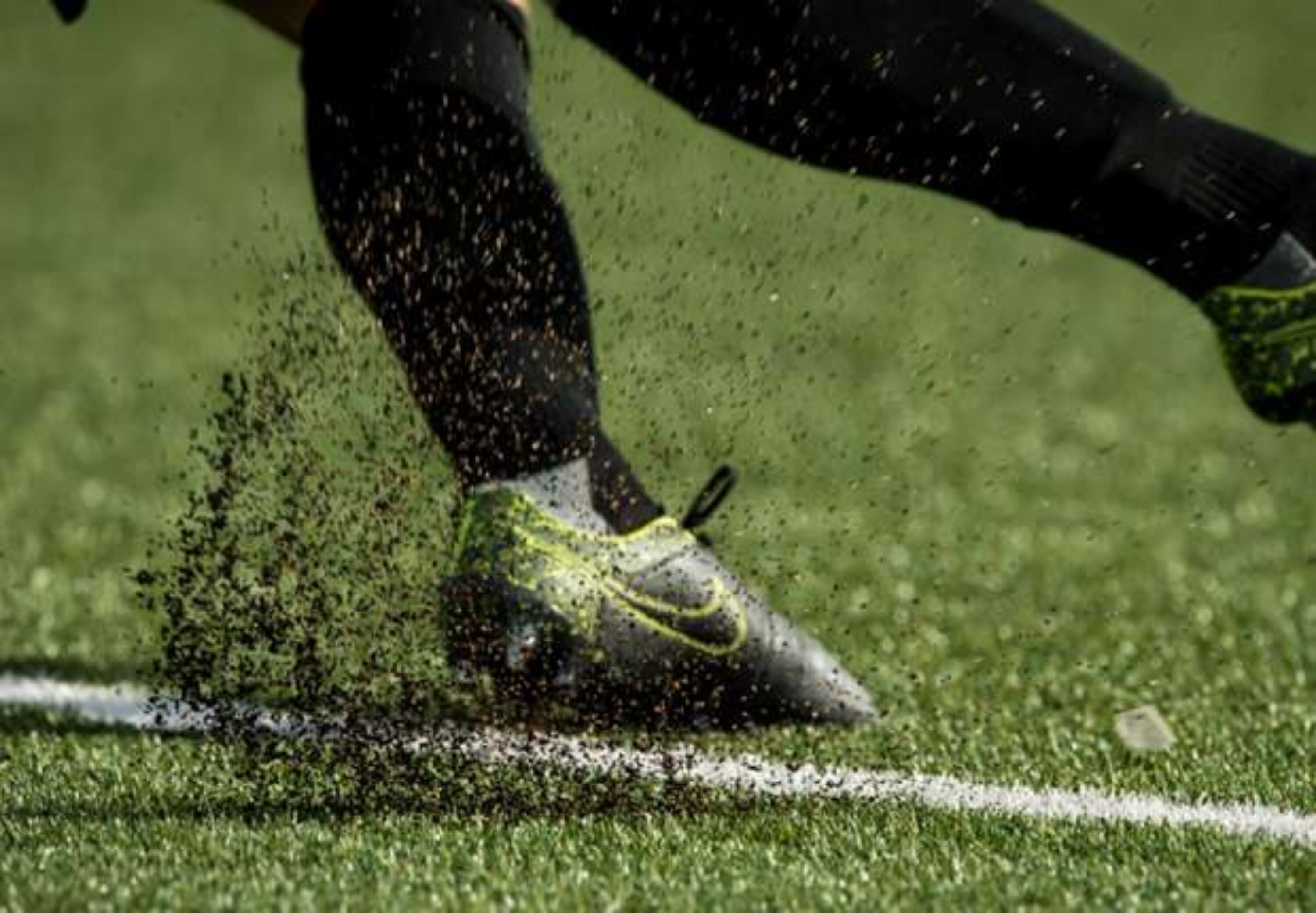 Proshots_1mvut87nwgt3117qjf7vixaux6